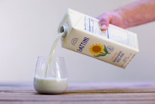 Sunflower Milk: A Nutrient-Rich Solution for Gluten-Free Folks