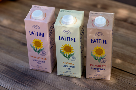 Sunflower Milk: The Ultimate Nut-Free, Soy-Free Milk Alternative